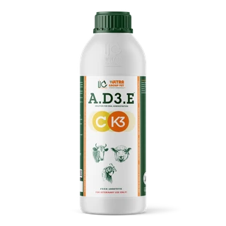 A.D3.E CK3