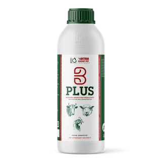 B PLUS
