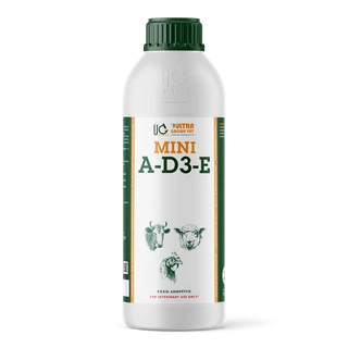 MINI A-D3-E
