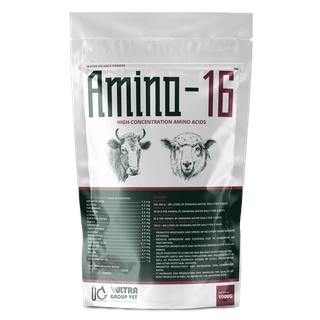 AMINO 16