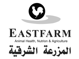 Our Client in Iraq 🇮🇶